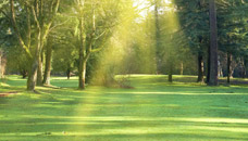 Harman Rohde Funeral Home